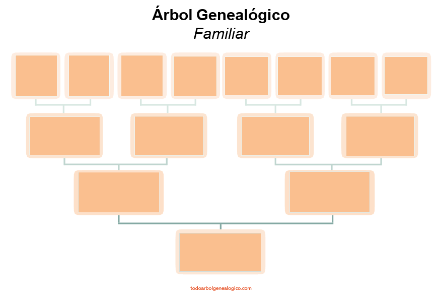 plantilla word para descargar de arbol genealogico