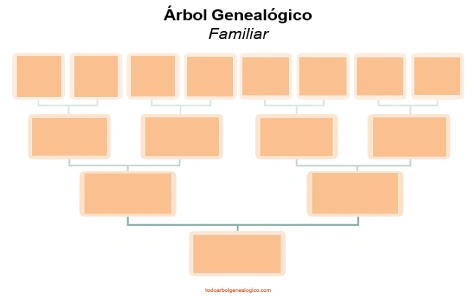 plantilla en blanco arbol genealogico word
