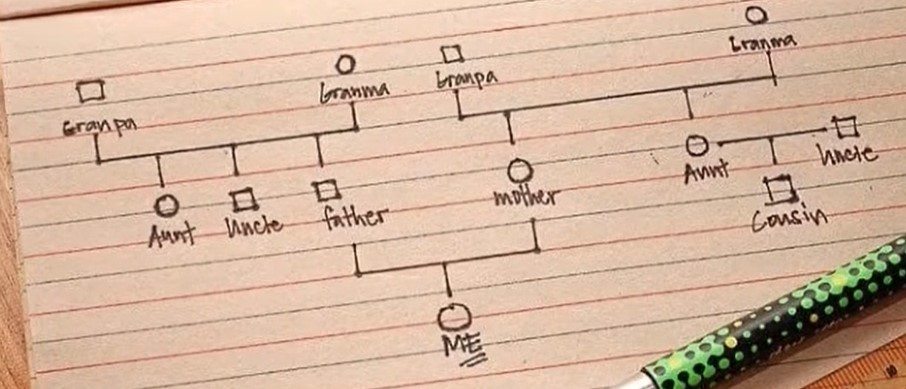 como realizar un genograma