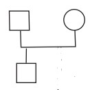 hijo natural genograma