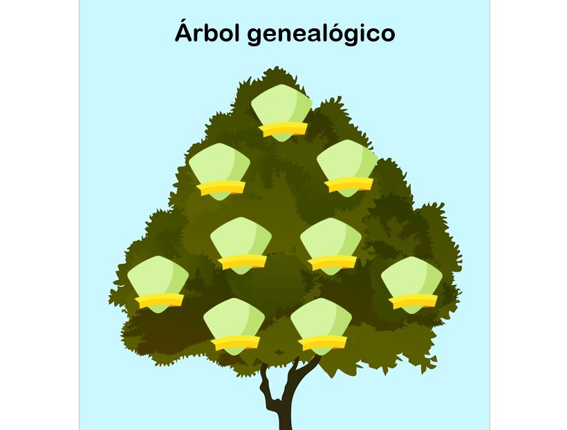 plantilla arbol genealogico niños en word