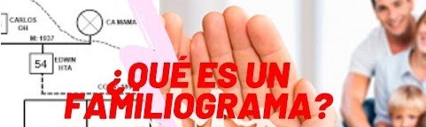 que es un familiograma?