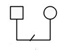 separación genograma